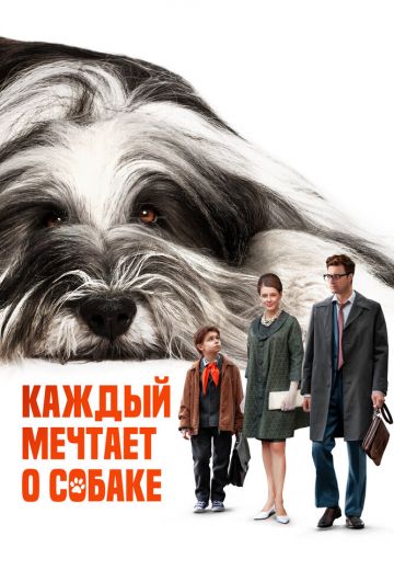 Каждый мечтает о собаке 