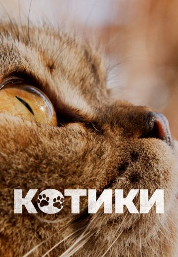 Котики 