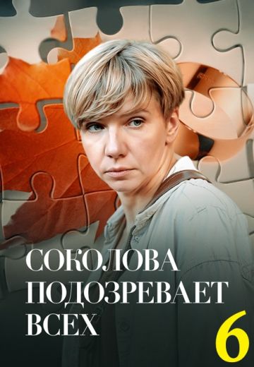 Соколова подозревает всех 6 сезон 
